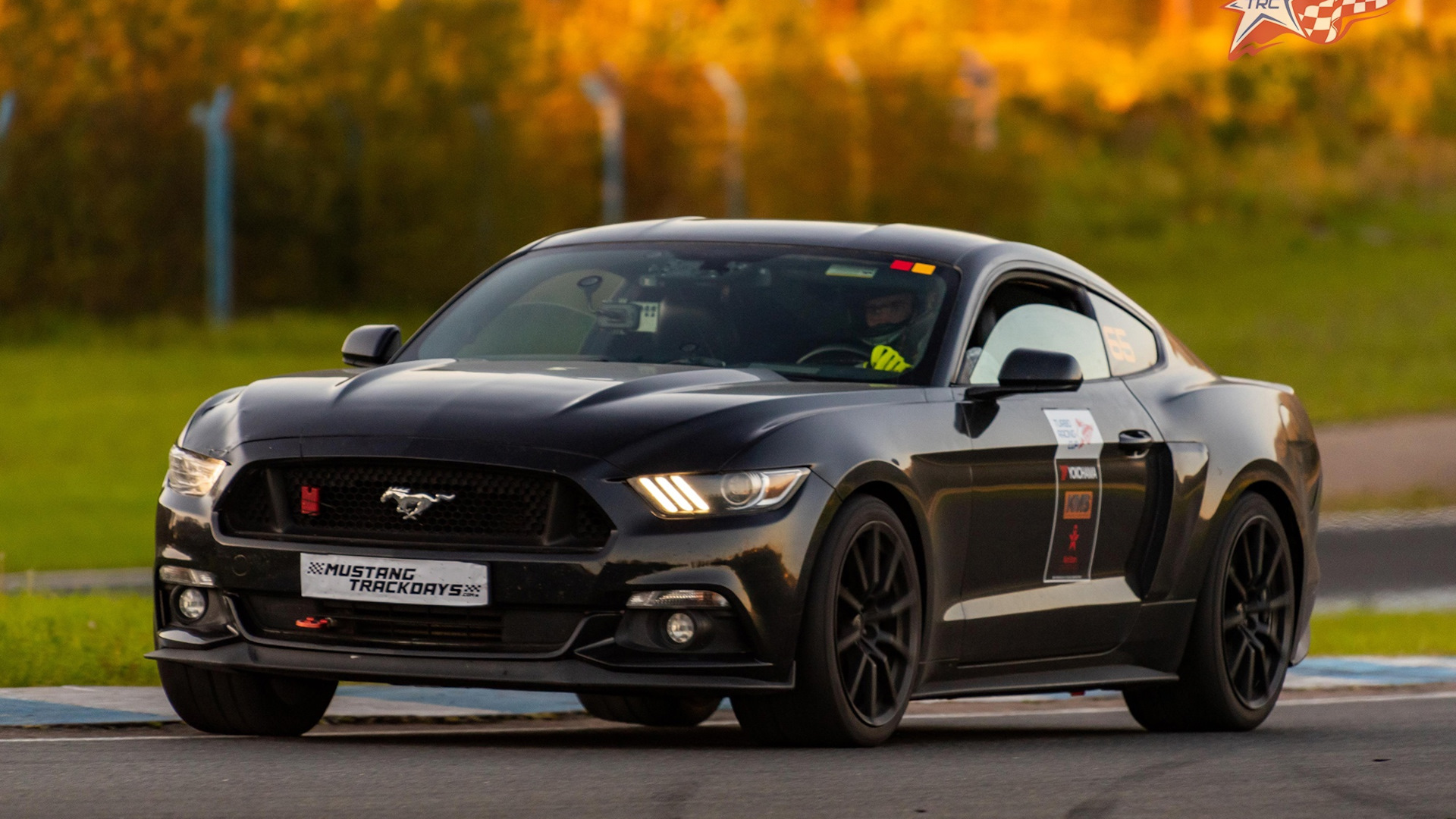 Ford Mustang (6G) 2.3 бензиновый 2016 | ThunderBird на DRIVE2