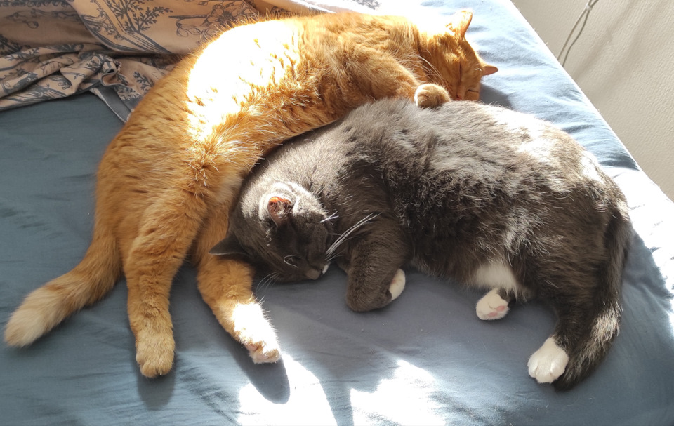 Регулировка развала-схождения и поиск уголка. — Volvo XC90 (1G), 3,2 л ...