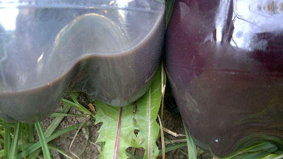 Выплескивает антифриз из расширительного бочка (пробка на радиатор ...