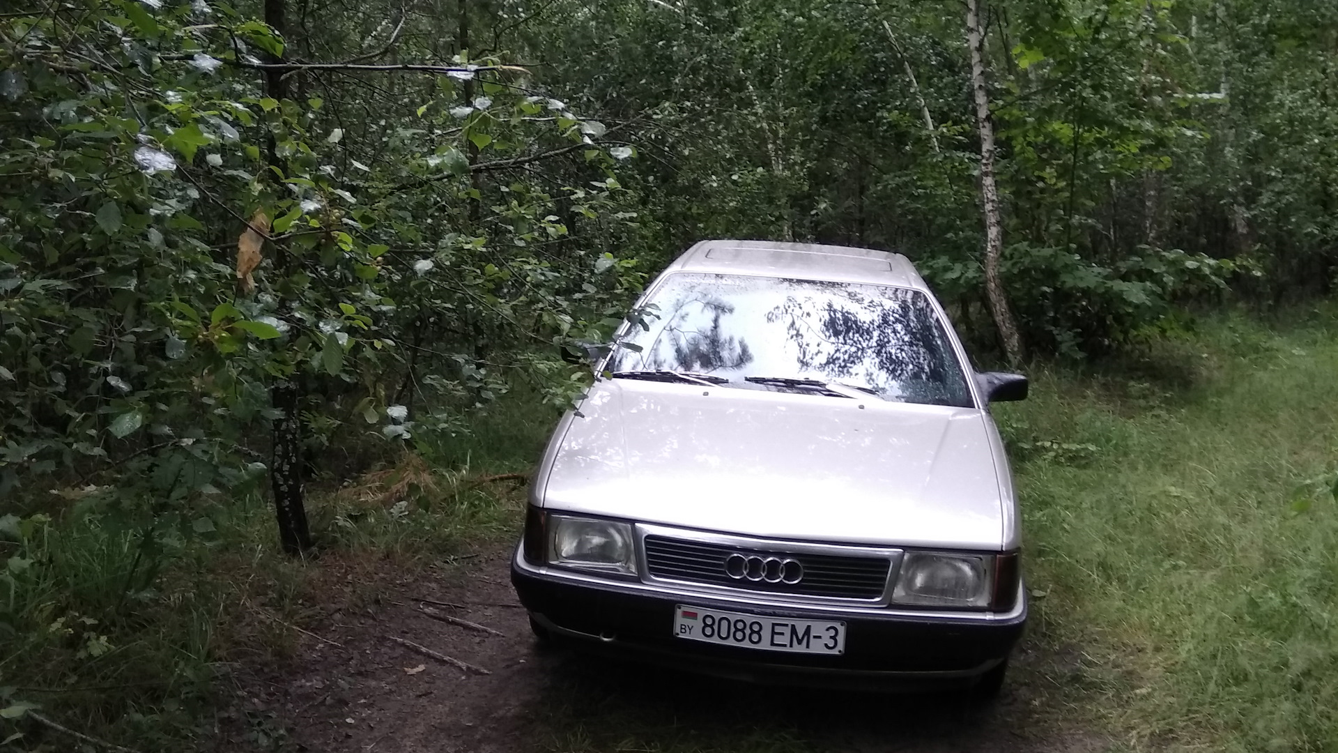 Audi 100 (C3) 2.2 бензиновый 1987 | серо бежевый металик на DRIVE2