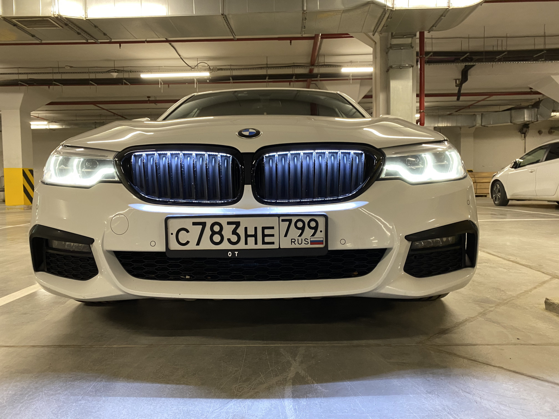 BMW 4 ноздри