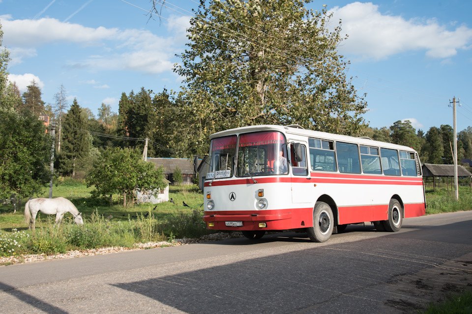 Автобус лаз фото старого образца