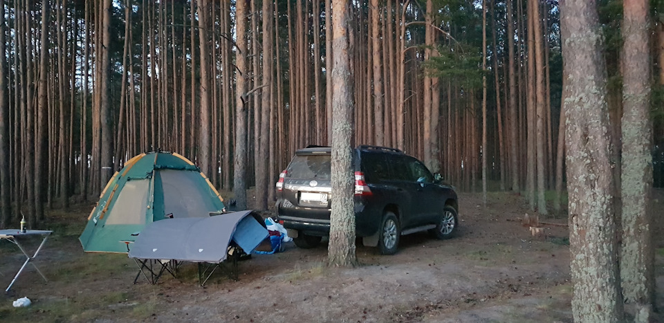 Рамный джип vs кроссовер — Toyota Land Cruiser Prado 150-series, 4 л ...