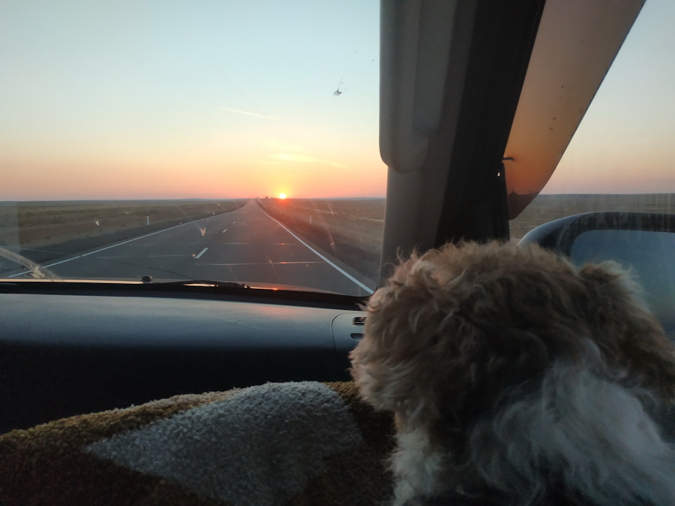 восход, Калмыкия — Mitsubishi Pajero (4G)