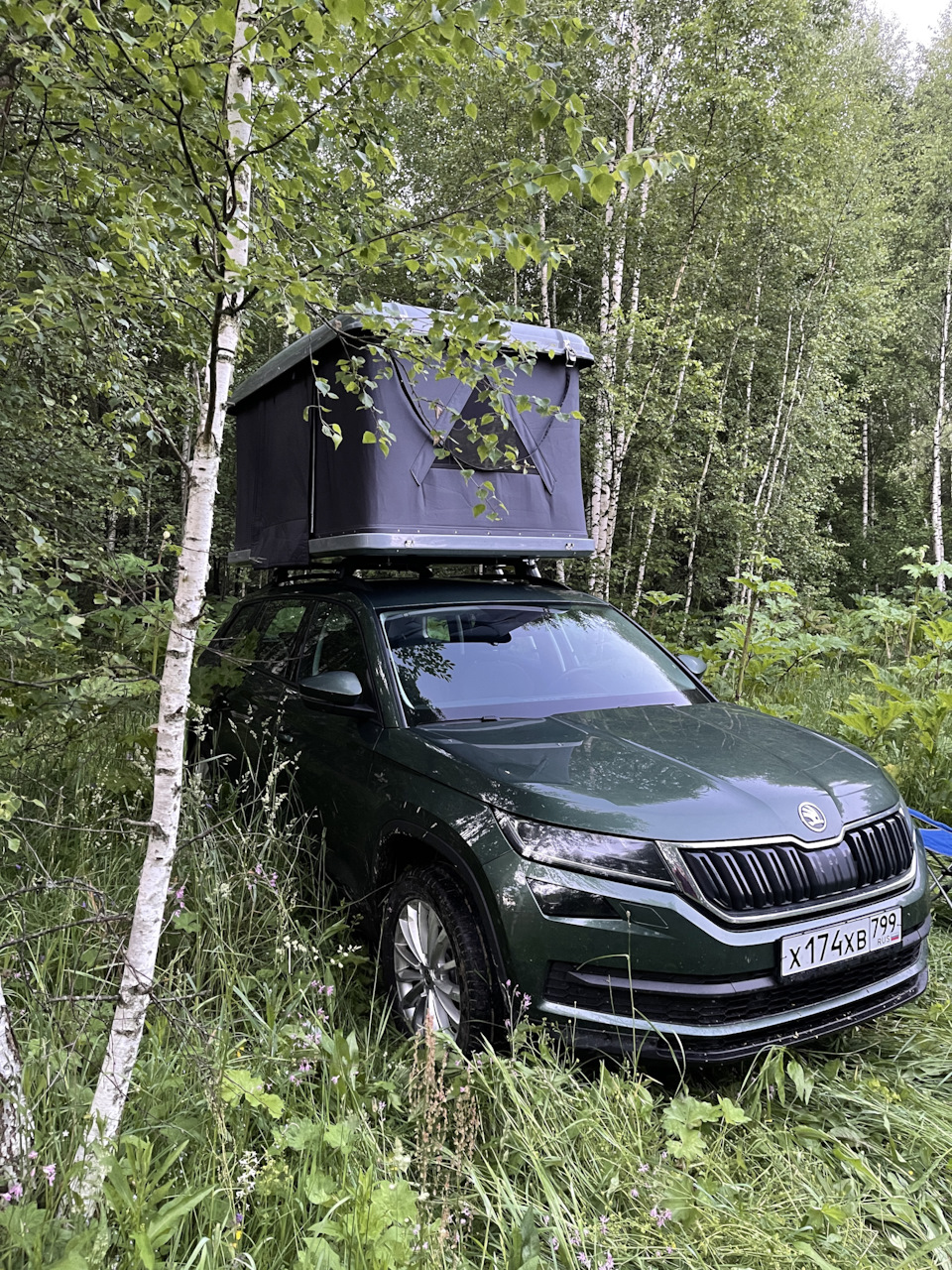 Аренда палатки «Ястреб» (Карелия часть 1) — Skoda Kodiaq, 2 л, 2021 года |  путешествие | DRIVE2