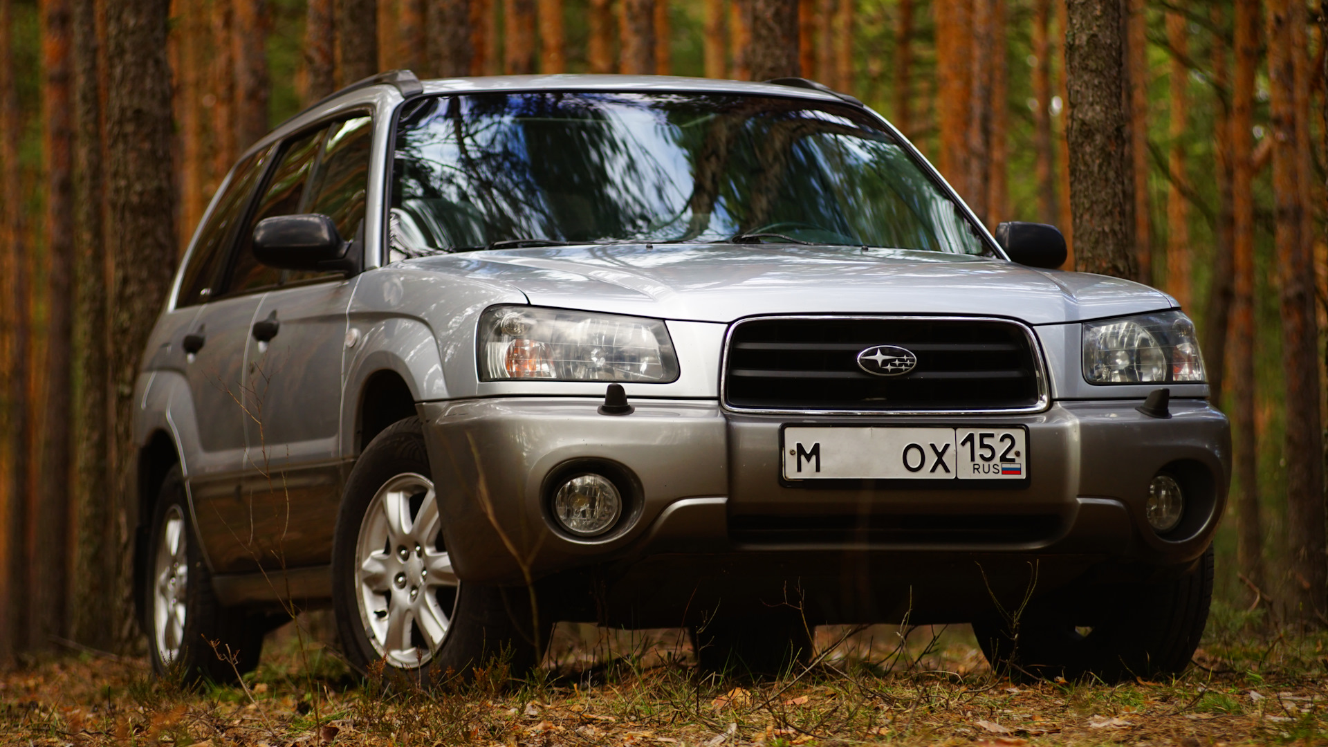 Forester 2