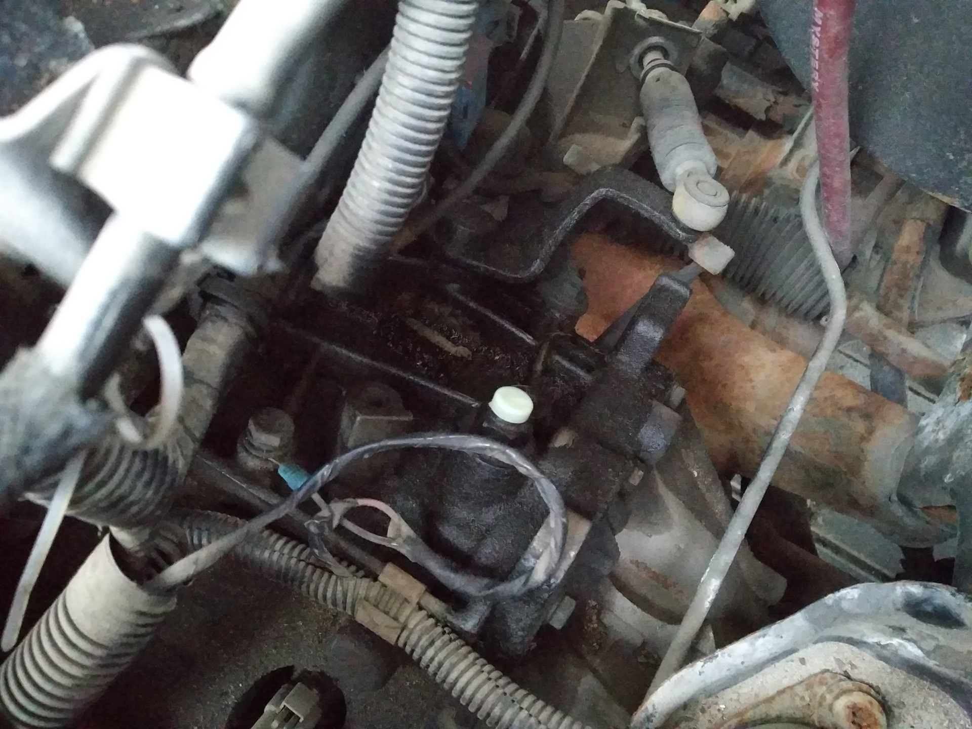 Где находится сапун на двигателе 406 Заглушка сапуна КПП - Peugeot 406, 1,8 л, 2002 года другое DRIVE2