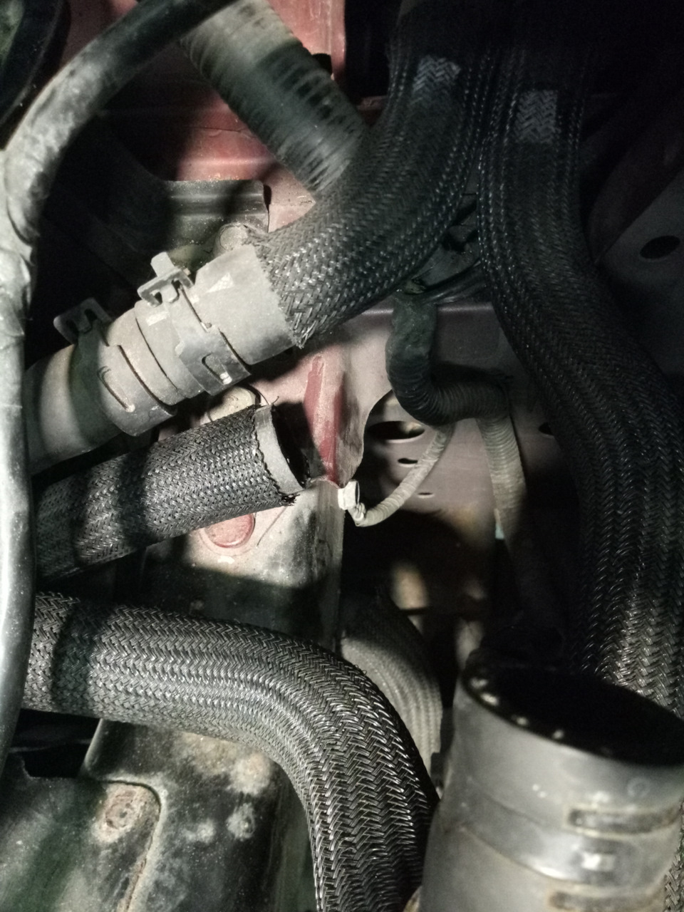 Фото в бортжурнале Nissan Leaf (1G)