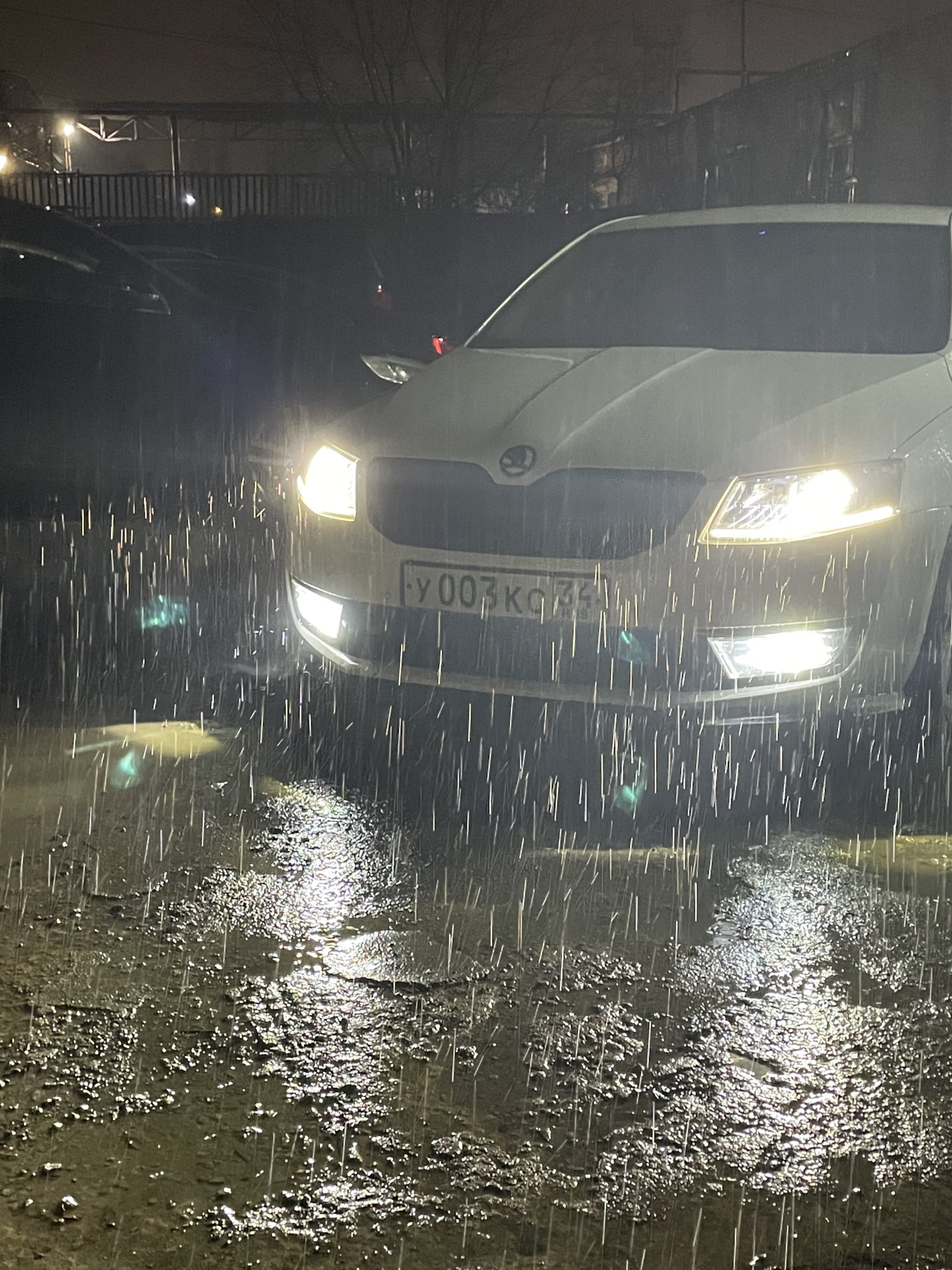 Замена ламп противотуманных фар — Skoda Octavia A7 Mk3, 1,8 л, 2013 ...