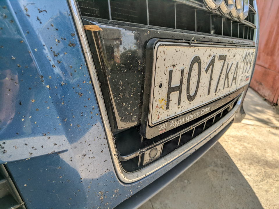 Погибло много мух — Audi A5 (1G)