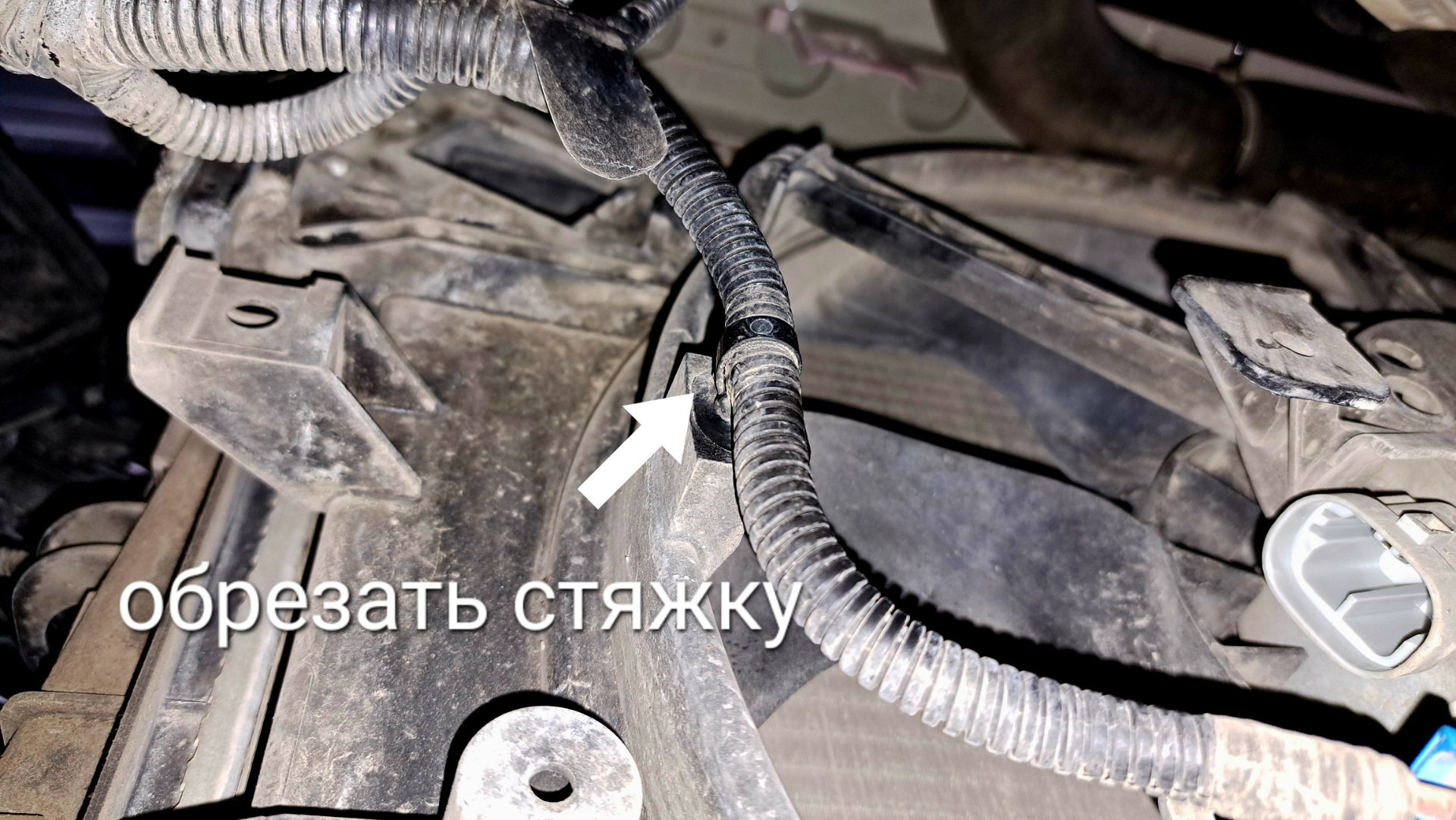 Замена вентилятора охлаждения KALE 347170 Лада Веста — Lada Vesta (1G ...