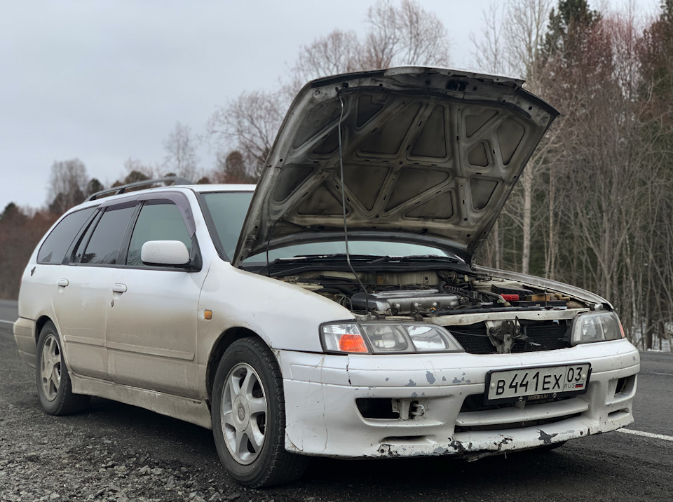 Nissan primera camino фото