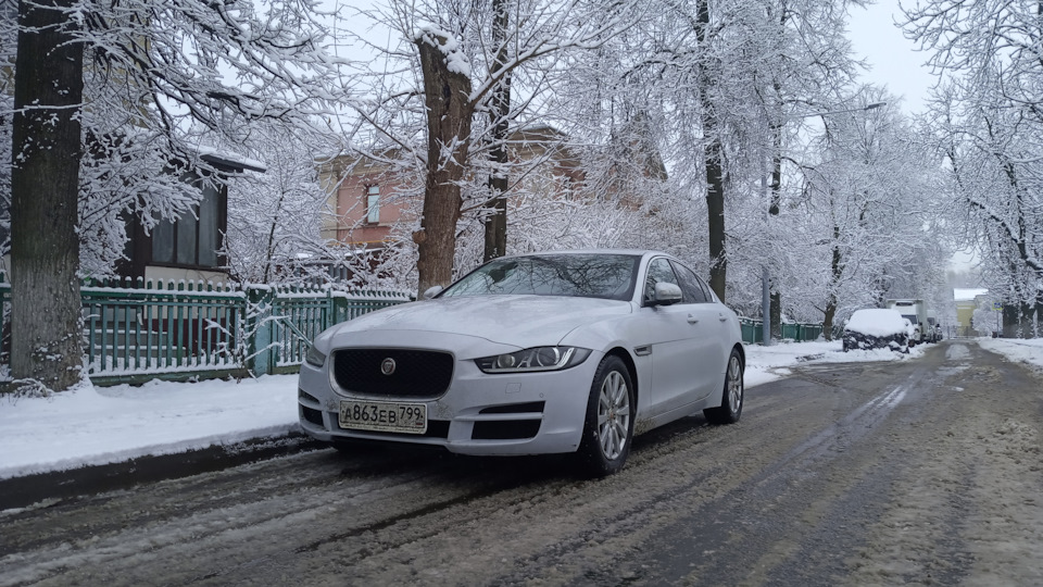 Jaguar XE #Беляш - белый Яша)))