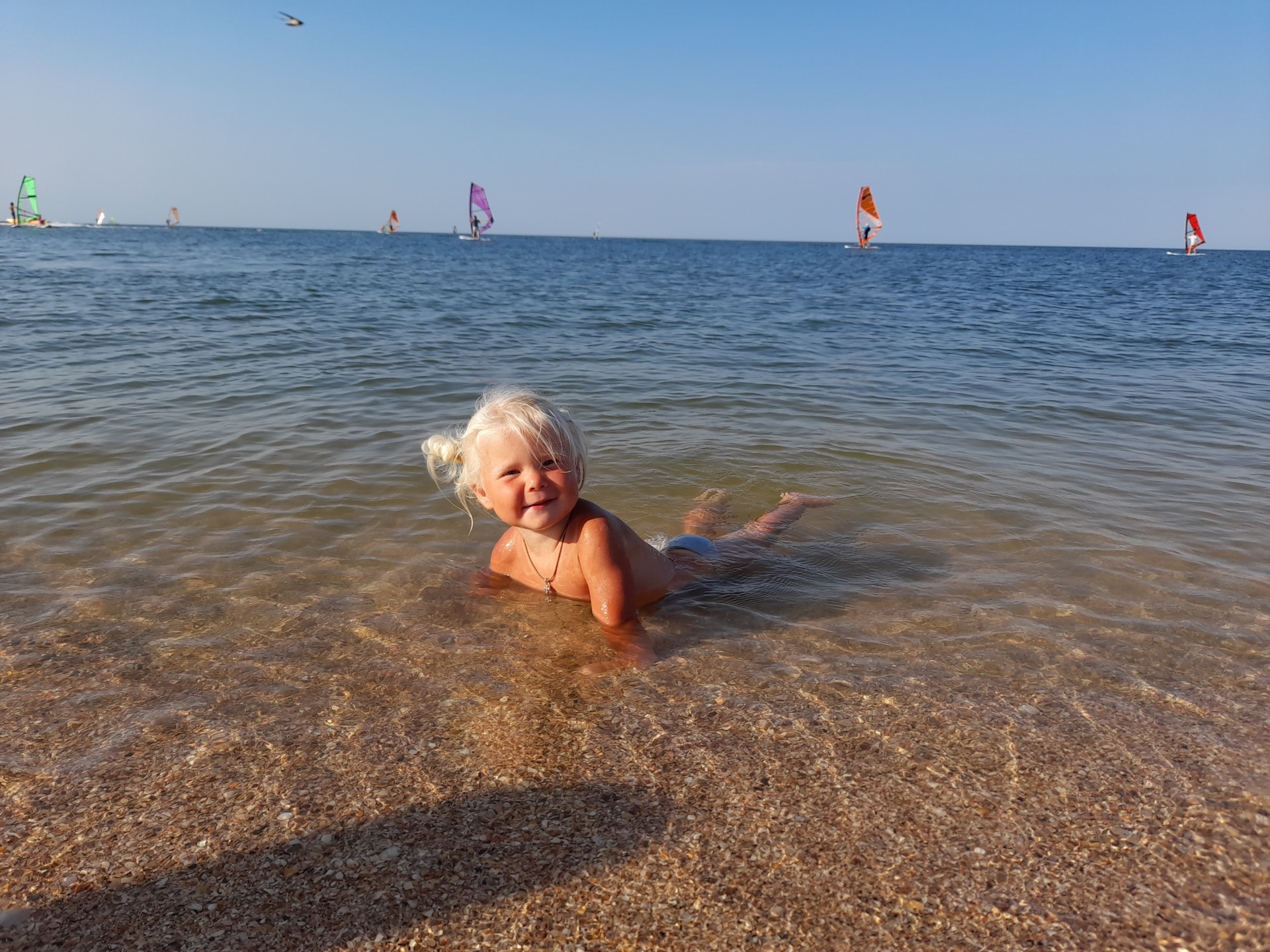 Вода в азовском море сегодня. Медузы в Азовском море 2022 Кучугуры. Медузы в Азовском море. Медузы в Азовском море 2022 Голубицкая. Азовское море в Крыму в 2022 году.