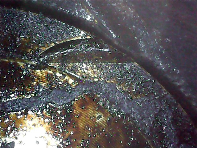 Фото в бортжурнале Renault Duster (1G)