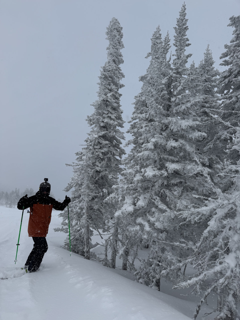 Фото в бортжурнале Skoda Kodiaq (1G)