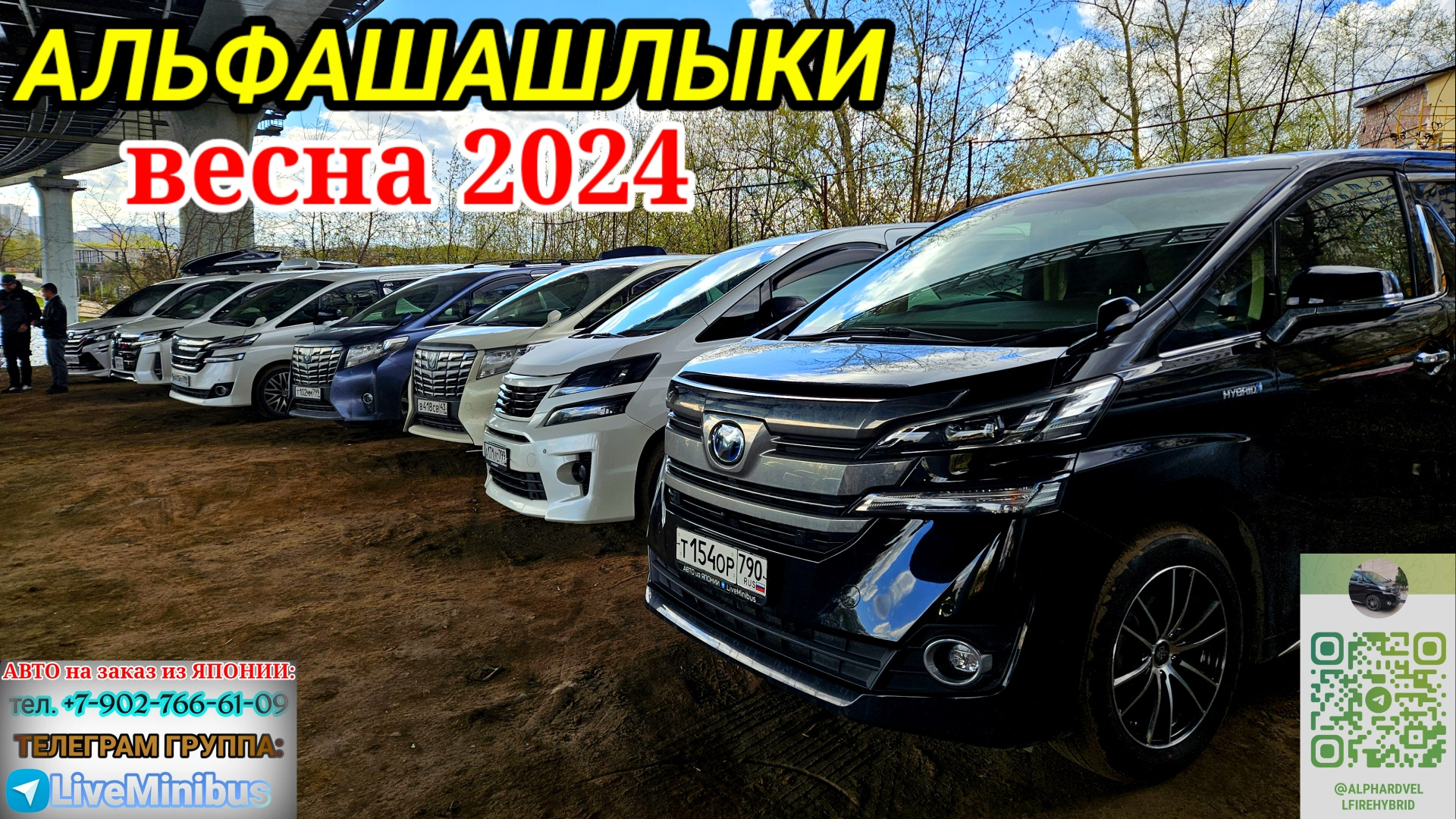 30. АЛЬФАШАШЛЫКИ. Весна 2024. — Toyota Vellfire (2G), 2,5 л, 2017 года |  встреча | DRIVE2