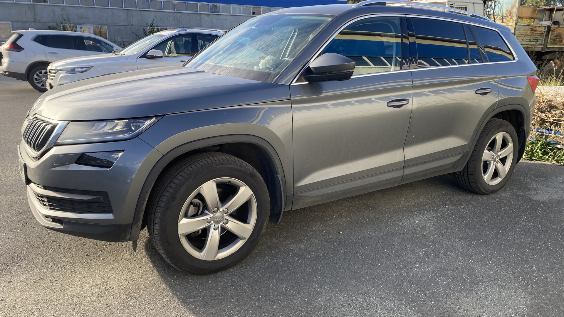 Skoda Kodiaq 2.0 дизельный 2019 | Хомяк на DRIVE2