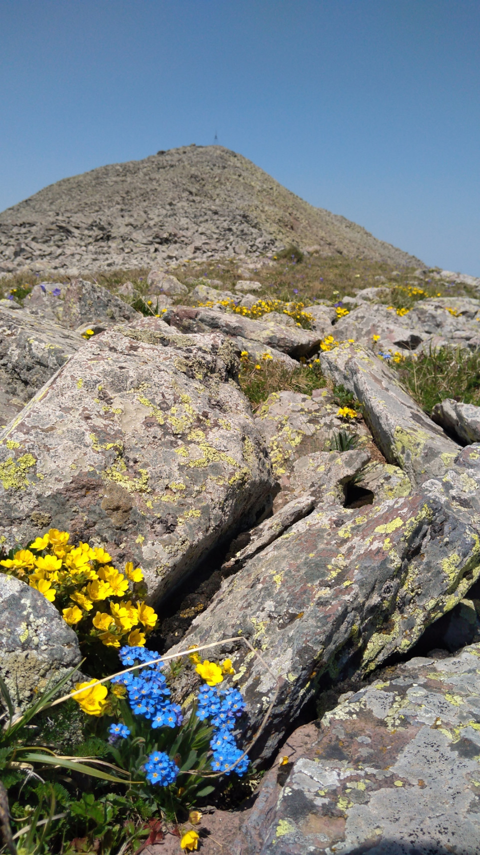 Вершина г. Ачкасар 3196м, граница с Грузией — Mitsubishi Pajero Sport (2G)