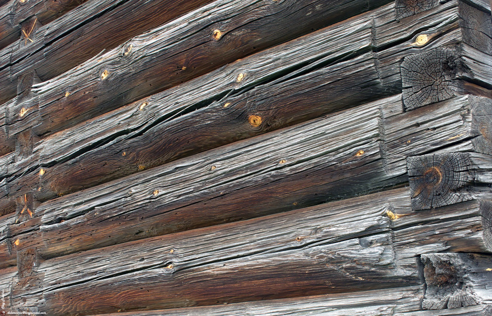 заброшенные храмы рязанской области. Смотреть фото заброшенные храмы рязанской области. Смотреть картинку заброшенные храмы рязанской области. Картинка про заброшенные храмы рязанской области. Фото заброшенные храмы рязанской области заброшенные храмы рязанской области. Смотреть фото заброшенные храмы рязанской области. Смотреть картинку заброшенные храмы рязанской области. Картинка про заброшенные храмы рязанской области. Фото заброшенные храмы рязанской области