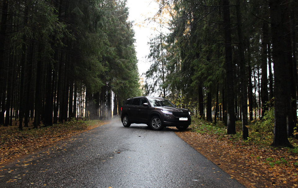 ♥ — Skoda Kodiaq (1G)