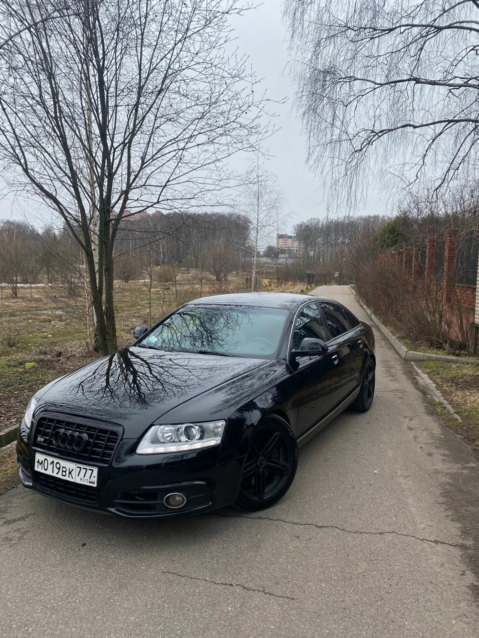 А вот и эротику подвезли — Audi A6 (C6), 3 л, 2010 года | тюнинг | DRIVE2