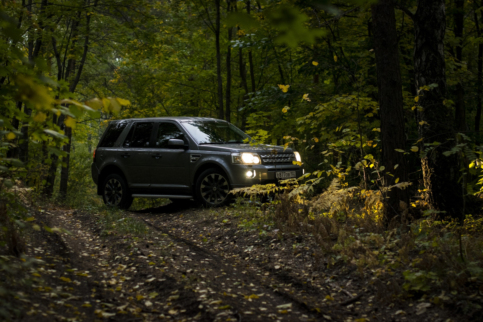 88. GSM реле для webasto Freelander2 — Land Rover Freelander 2, 2,2 л, 2011  года | тюнинг | DRIVE2