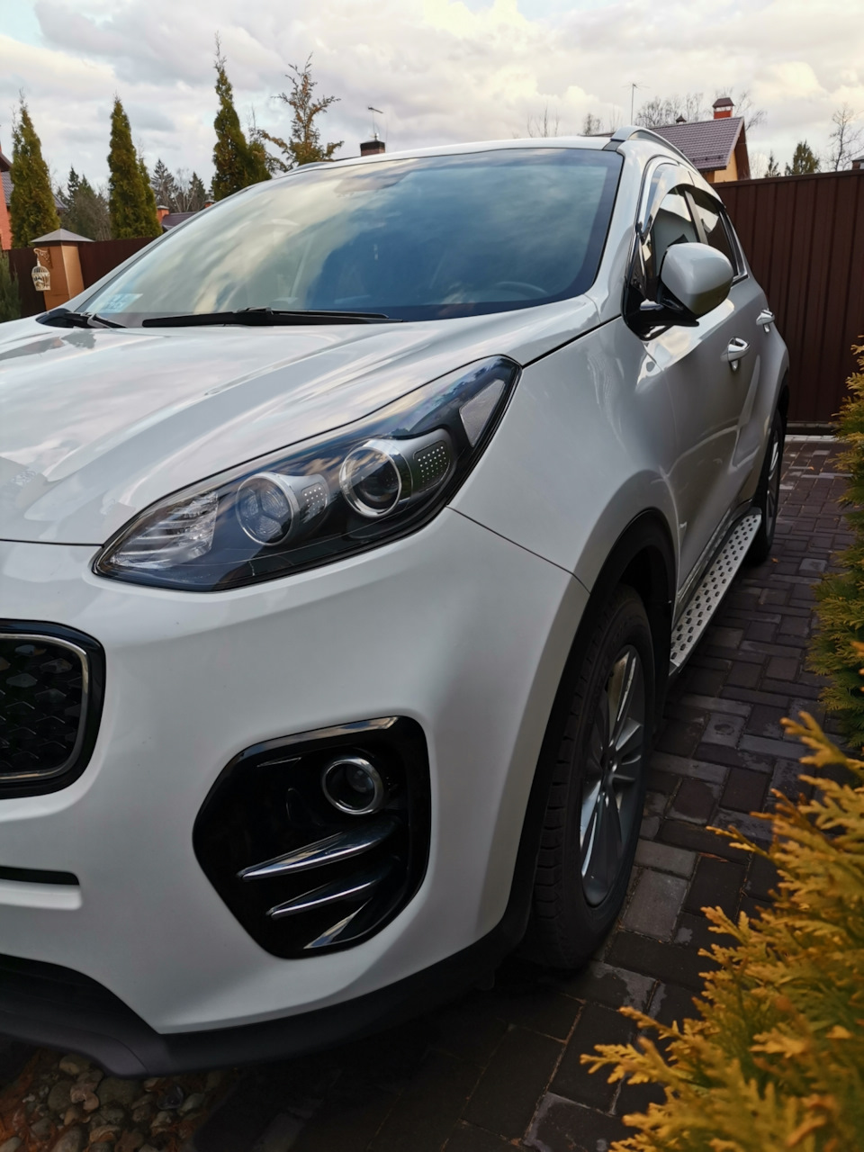 Моточасы или километраж. Как правильно менять масло в автомобиле. — KIA  Sportage (4G), 2 л, 2017 года | запчасти | DRIVE2