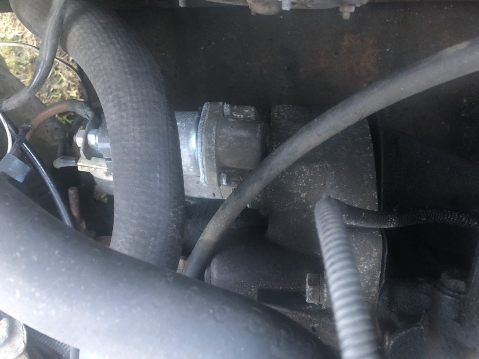 Осмотр донора ваз 2110 — Lada 21031, 1,6 л, 1976 года | запчасти | DRIVE2