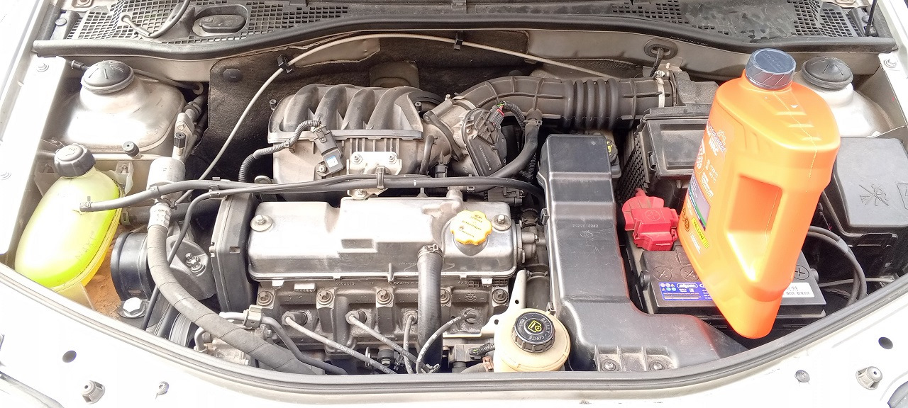 Замена охлаждающей жидкости — Lada Ларгус, 1,6 л, 2019 года | плановое ...
