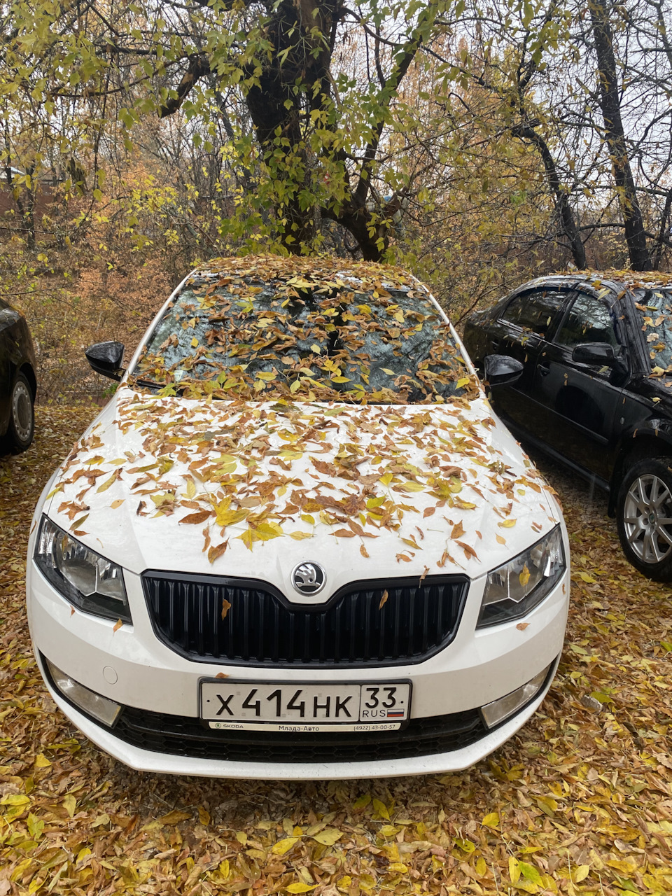 Пробег 60 000. Полёт нормальный — Skoda Octavia A7 Mk3, 1,8 л, 2014 года |  плановое ТО | DRIVE2