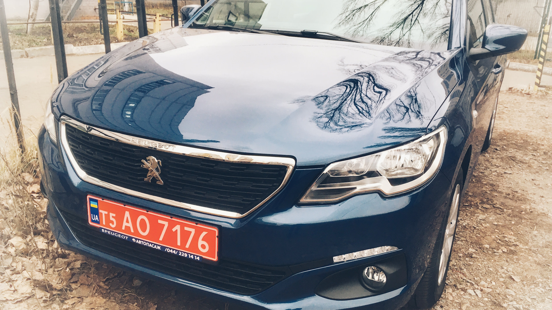 Peugeot 301 (2012) 1.6 бензиновый 2020 | Blue1.6VTі на DRIVE2