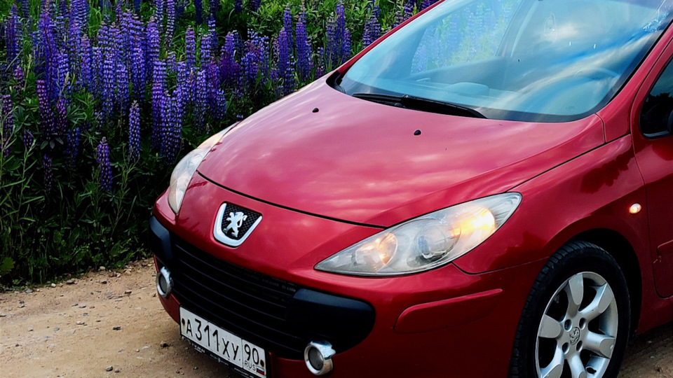 Peugeot 307 1.6 бензиновый 2005 | на DRIVE2