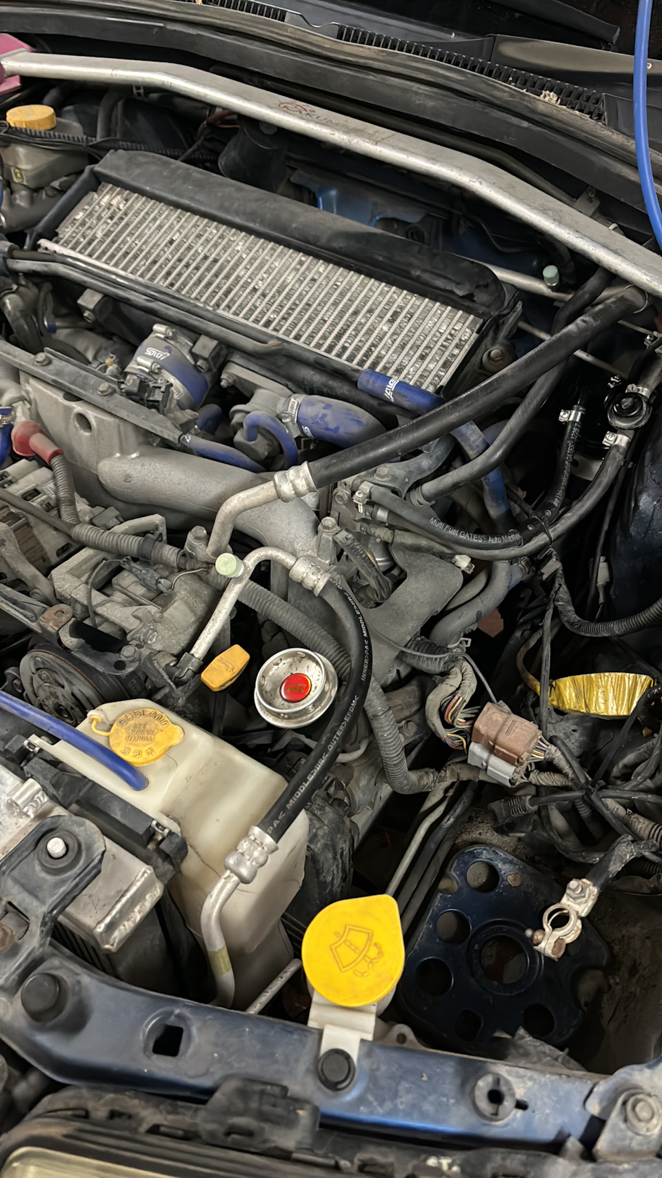 Фото в бортжурнале Subaru Forester (SG)