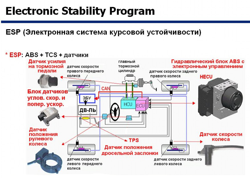Ключевые этапы коммерциализации