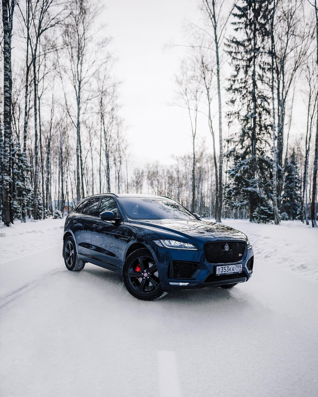 Продолжите стихотворение — Авилон Jaguar Land Rover на DRIVE2