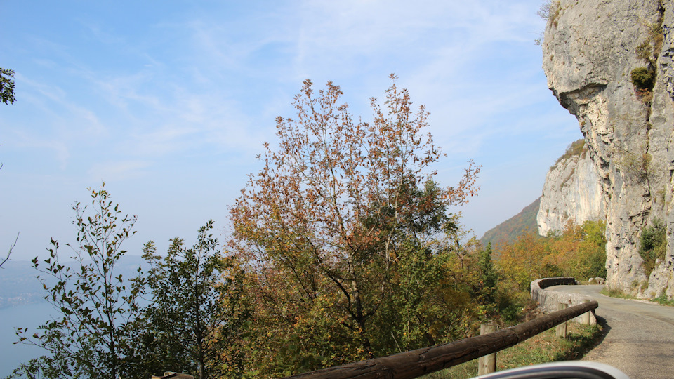 По дороге назад. На всякий случай я сигналил перед слепыми поворотами. — Audi A4 (B9)