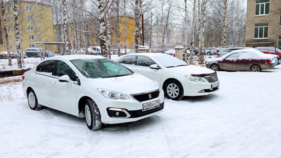 Peugeot 408 пыжик