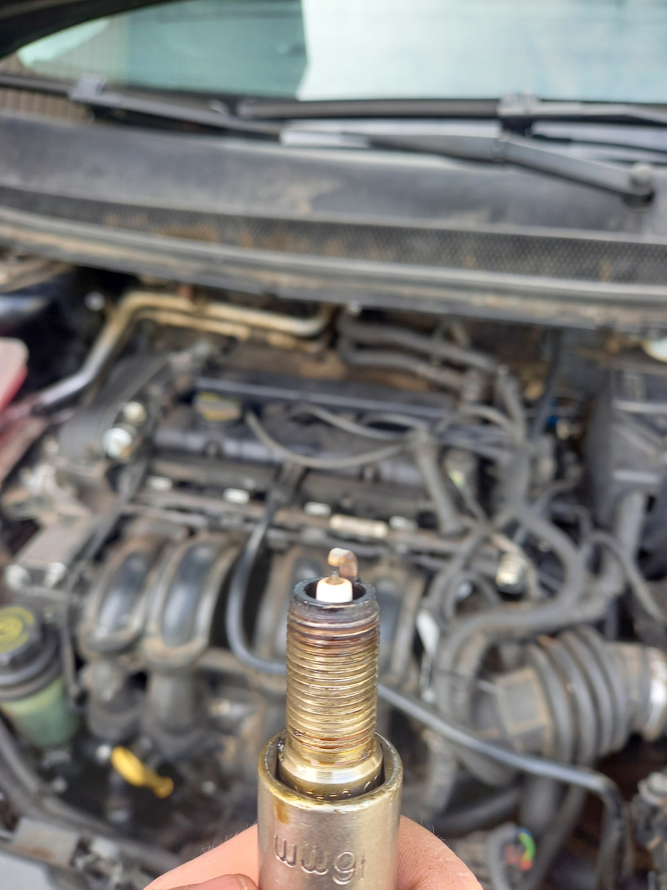 текст вставляя пропущенные буквы. песня про любовь текст. текст х л. текст х л. там где клён шумит текст.