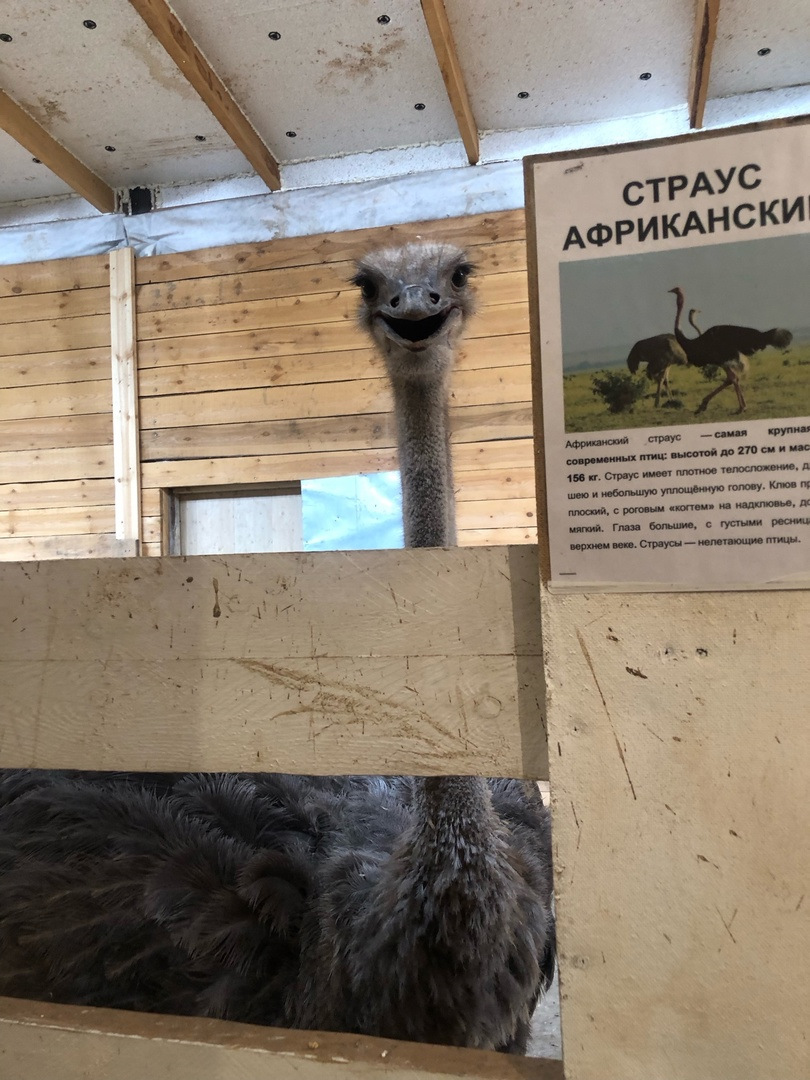 Мой отпуск 😊 Тункинская долина, поездка в Аршан №2 ☺️🚙Опять море  впечатлений — Subaru XV (1G), 1,6 л, 2014 года | путешествие | DRIVE2