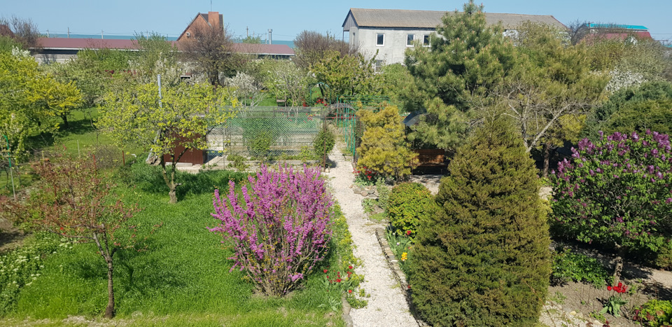 Фото в бортжурнале Honda Freed (2G)