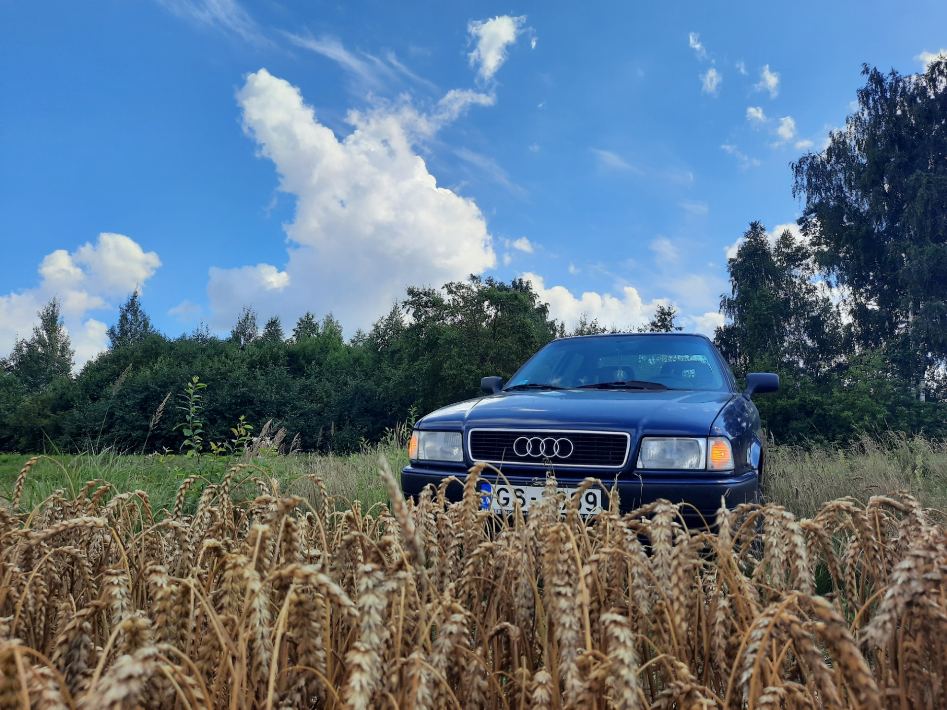 Золото, ржавчина и чёрный ворон. — Audi 80 (B4), 2 л, 1993 года |  путешествие | DRIVE2