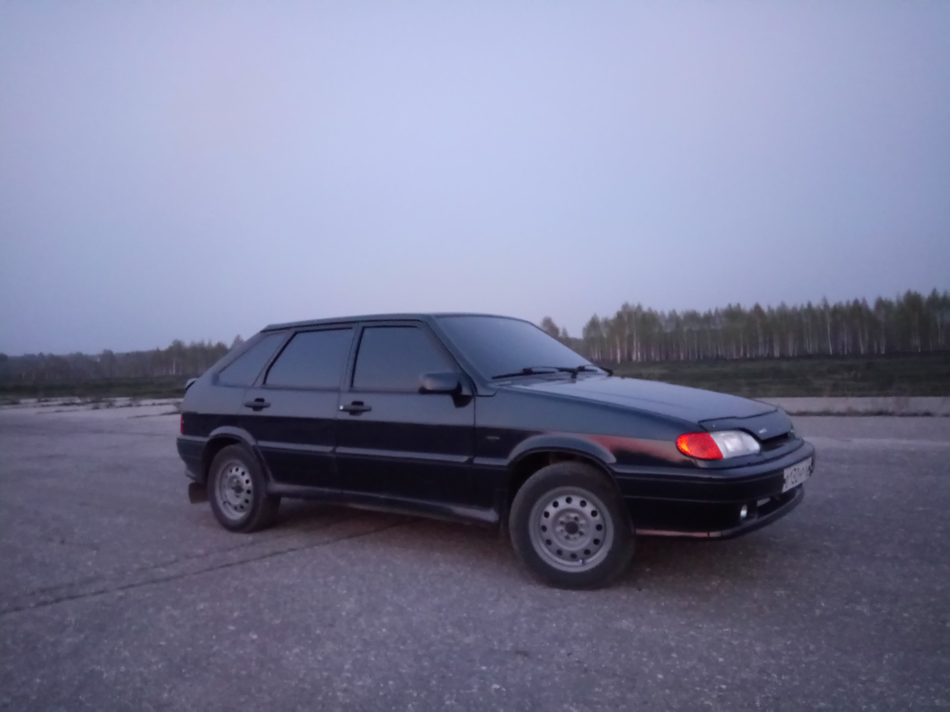 4) Болотные штампы (по ГОСТу) — Lada 2114, 1,6 л, 2007 года | колёсные ...
