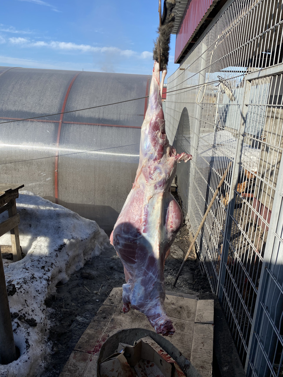 Клубный автосервис Audi Воронеж — DRIVE2