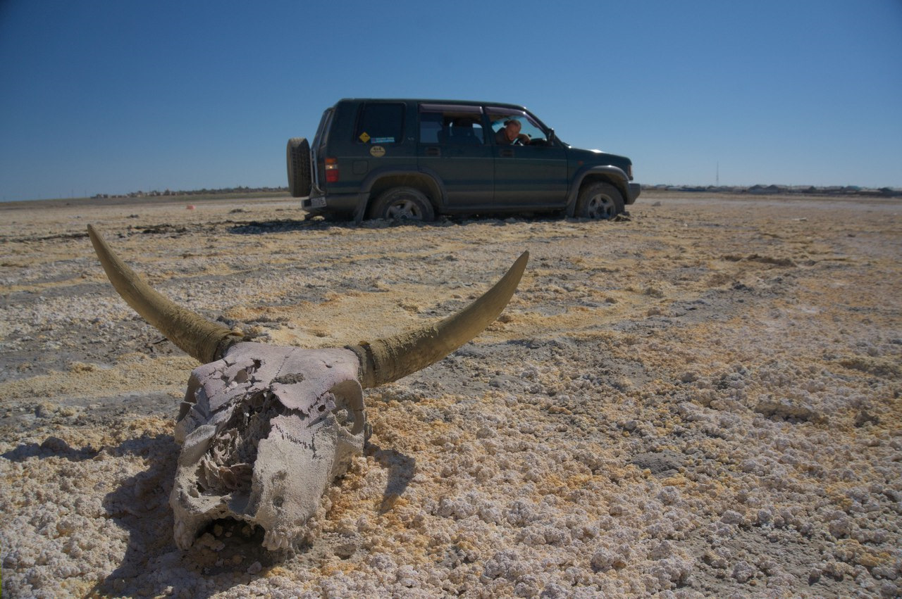 Из Краснодара на Камчатку через Монголию — Isuzu Bighorn (II), 3 л, 1998  года | путешествие | DRIVE2