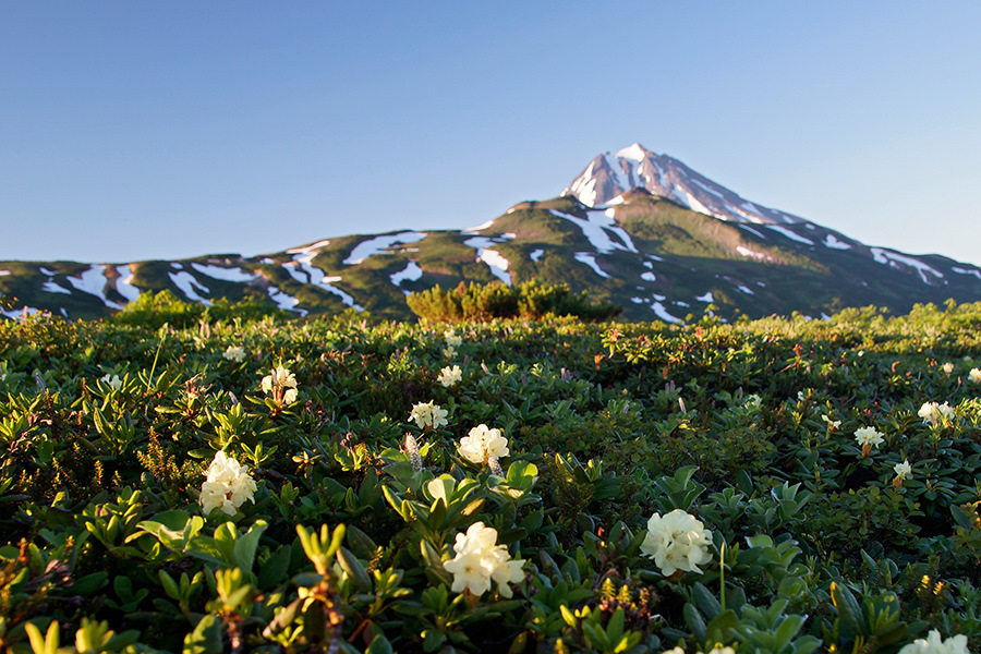 Камчатка пейзажи фото