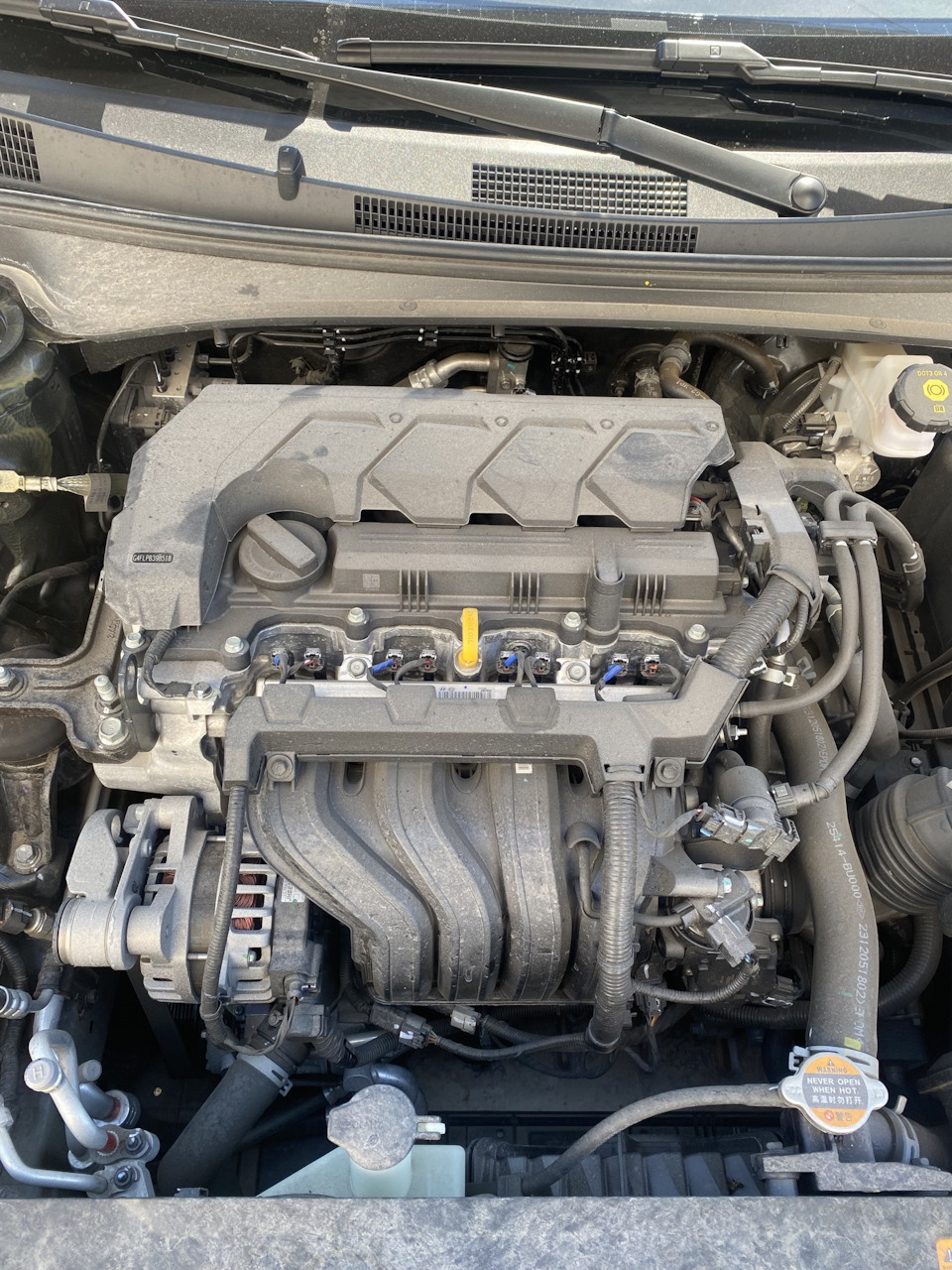 Фото в бортжурнале Hyundai Elantra (7G)