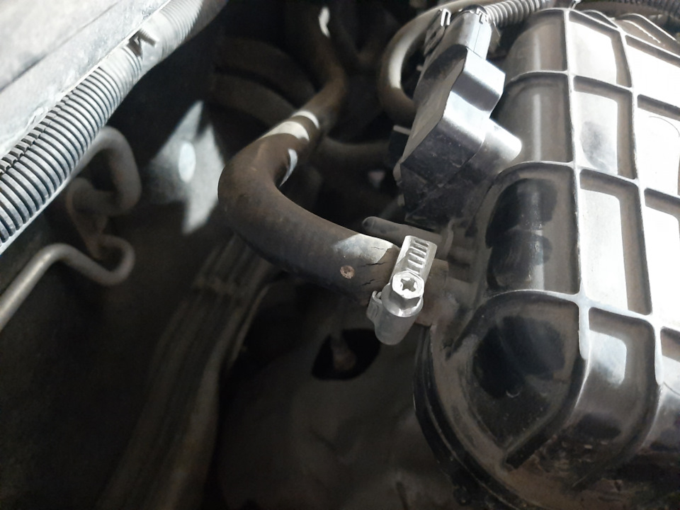 Замена масла и шланга вакуумного усилителя. — Lada Vesta (1G), 1,6 л ...