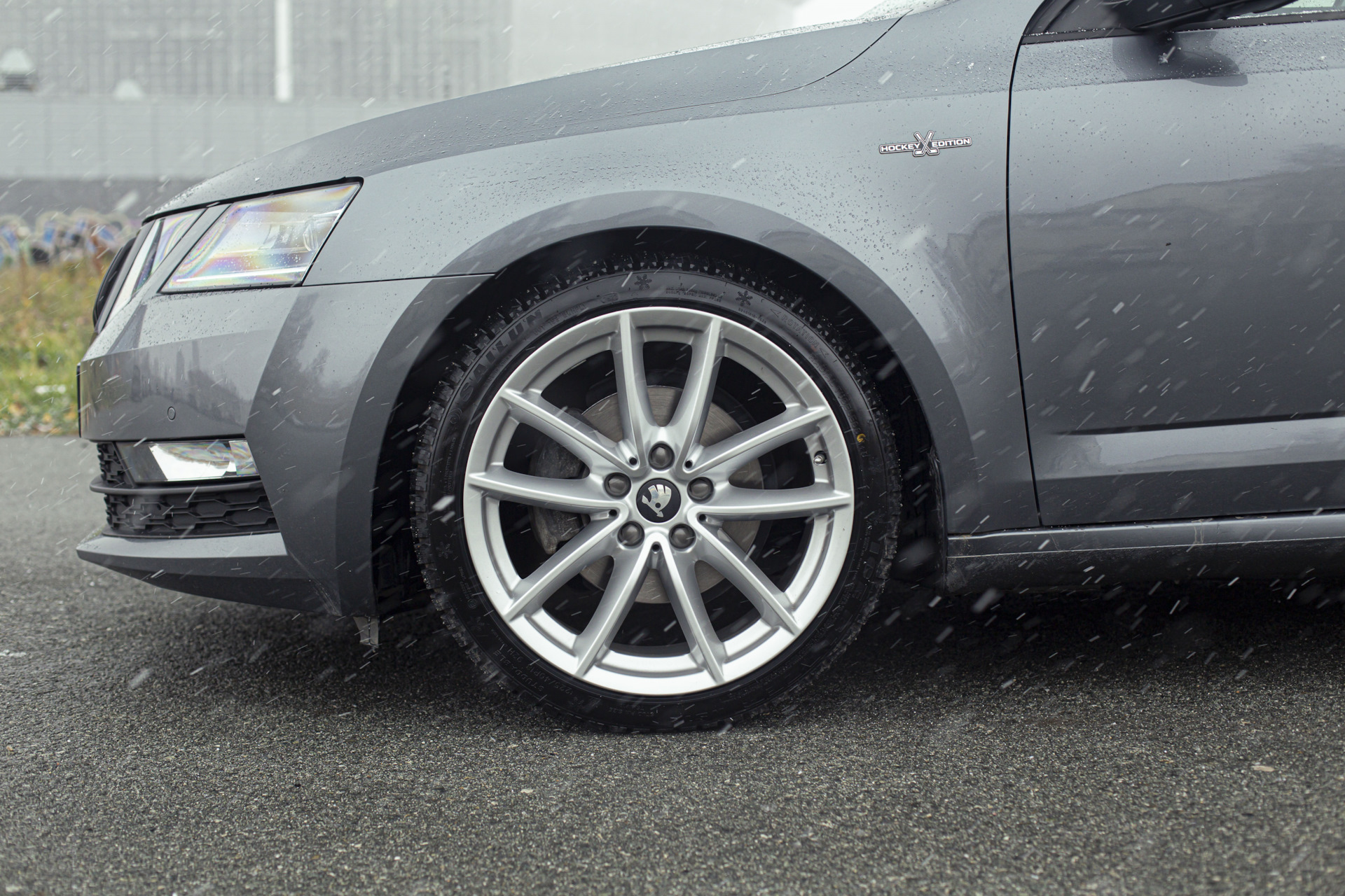 Ищем хозяина — Skoda Octavia A7 Mk3, 1,4 л, 2019 года | продажа машины ...