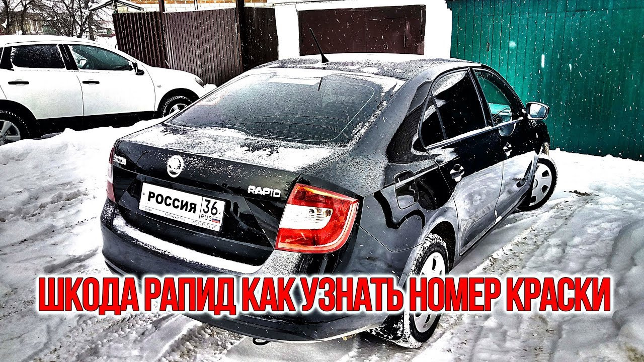 Шкода рапид как узнать номер краски — Skoda Rapid (1G), 1,6 л, 2014 года |  наблюдение | DRIVE2